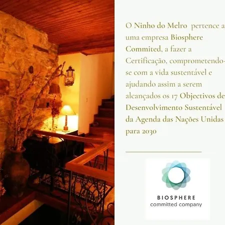 Ninho Do Melro - Bragança