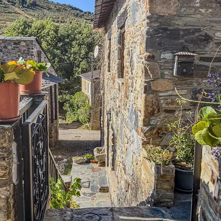 Ninho Do Melro - Bragança