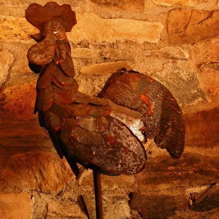 Ninho Do Melro - Gospodarstwo wiejskie Bragança