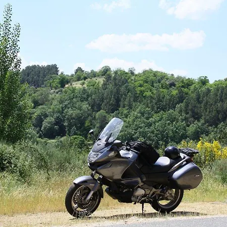 Ninho Do Melro - Bragança