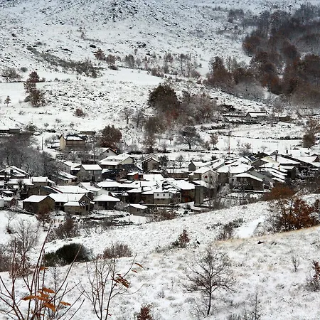 Ninho Do Melro - Bragança