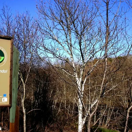 Lantställe Ninho Do Melro -