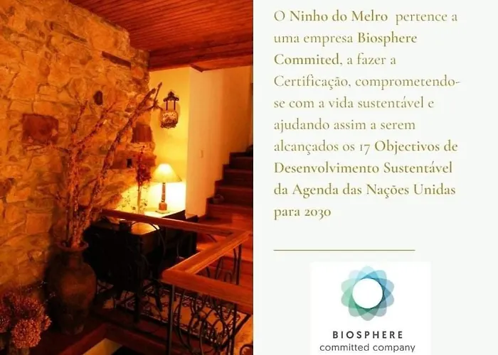 Ninho Do Melro - Bragança