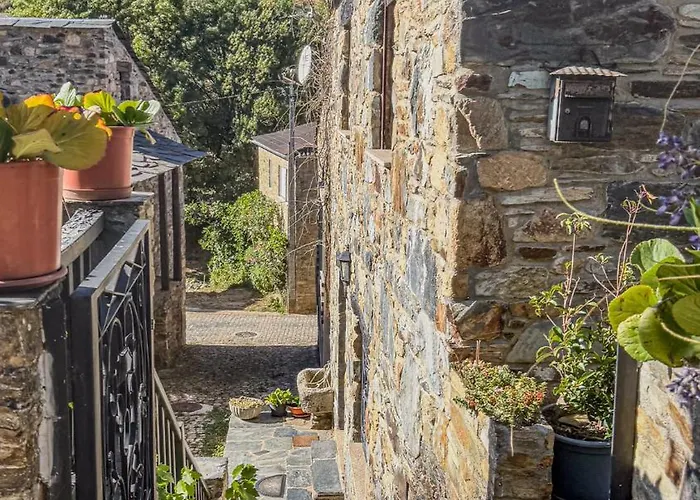 Ninho Do Melro - Bragança