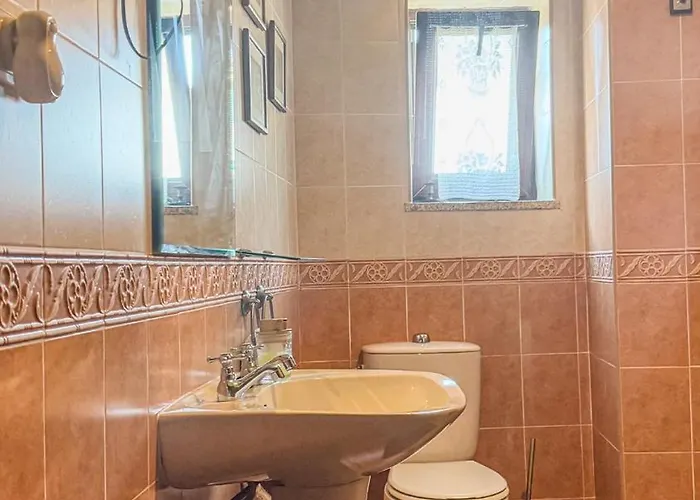 Ninho Do Melro - Bragança