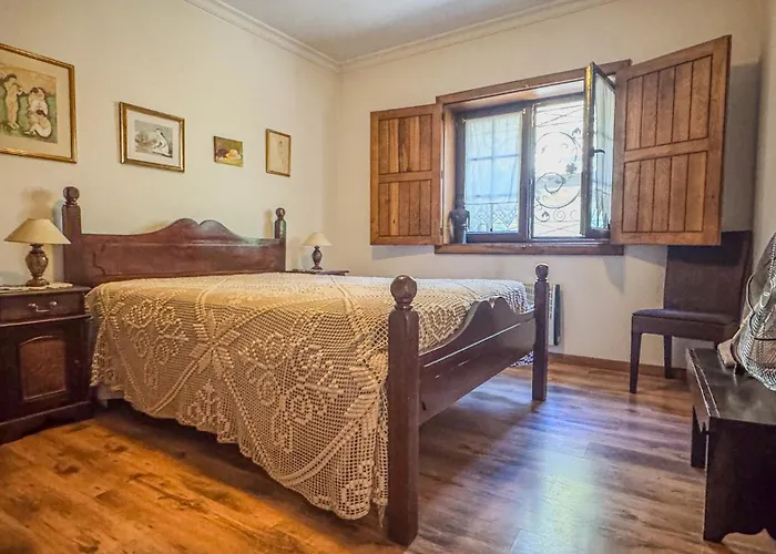 Ninho Do Melro - Bragança