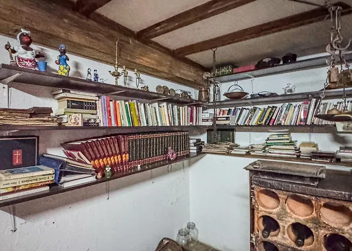 Ninho Do Melro - * Bragança