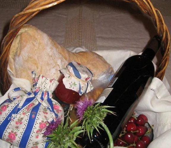 Ninho Do Melro - Casa rural