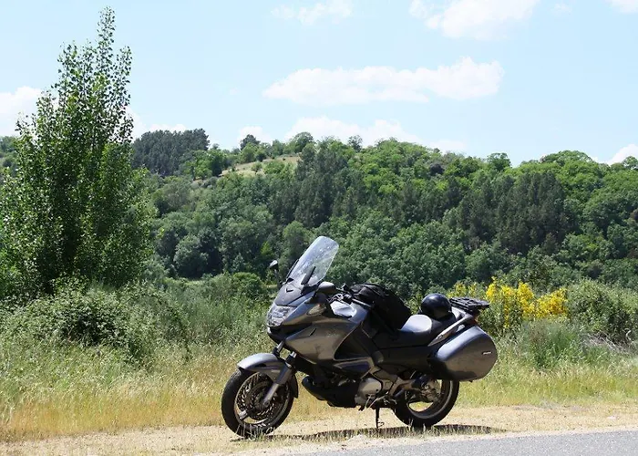 Ninho Do Melro - Bragança