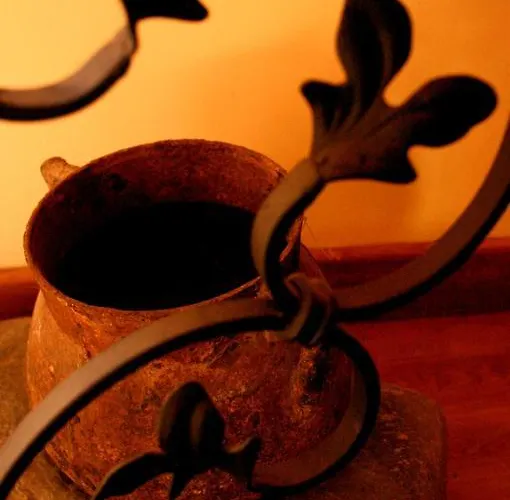 Casa rural Ninho Do Melro -