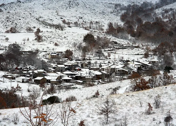 Ninho Do Melro - Bragança