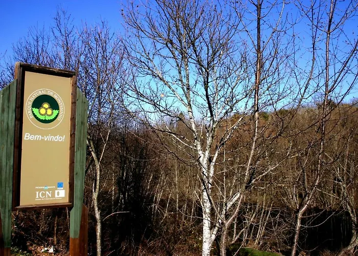 Kır Evi Ninho Do Melro -